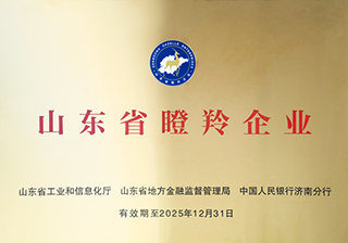 山東省瞪羚企業(yè)